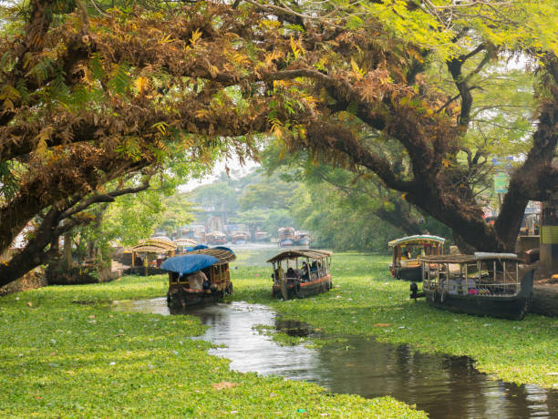 Alleppey houseboat view